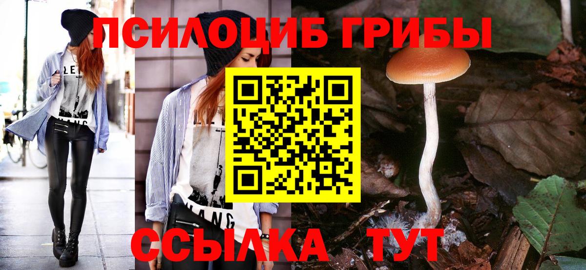Зерноград  Галлюциногенные грибы MAGIC MUSHROOMS  купить закладку  Вход с VPN  Псилоцибиновые грибы Magic Shrooms 