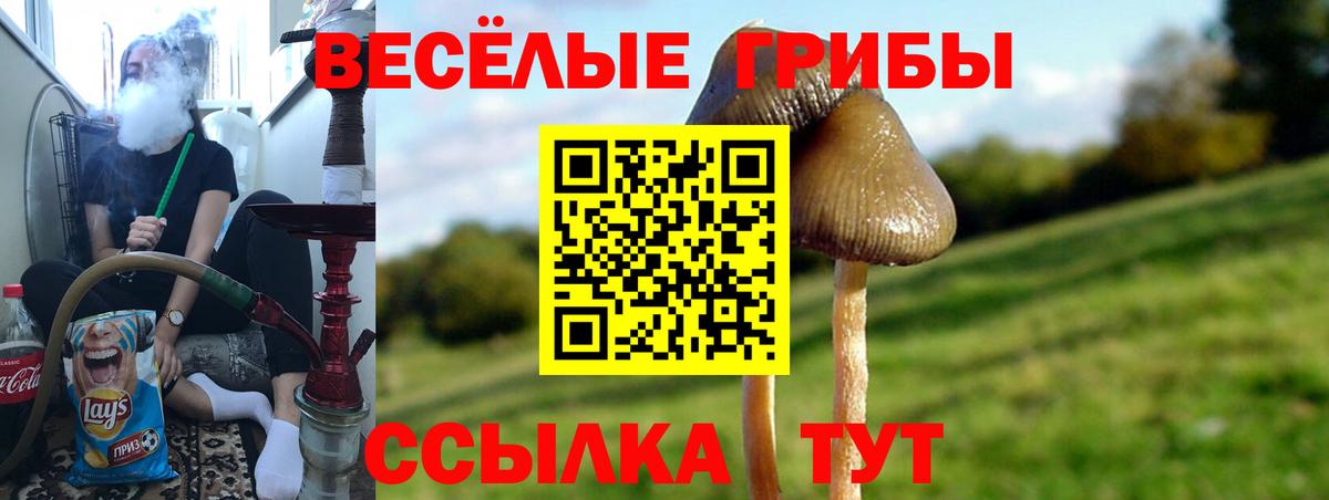Галлюциногенные грибы Magic Shrooms Зерноград